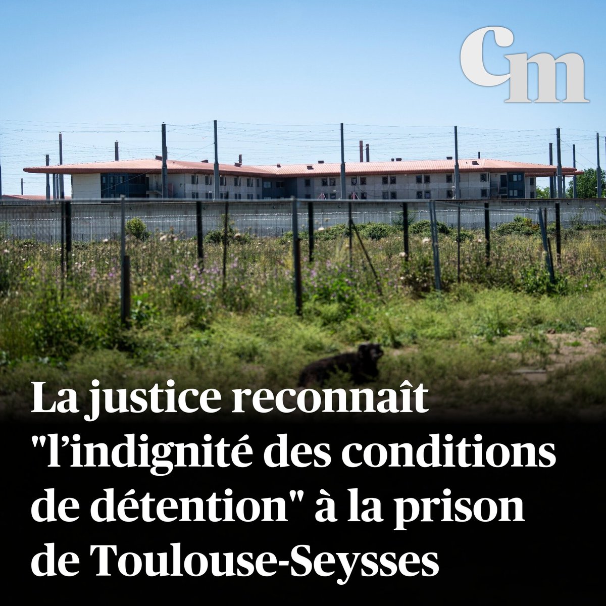 Corse_Matin's tweet image. La justice reconnaît "l’indignité des conditions de détention" à la prison de Toulouse-Seysses
➡️ sur.corsematin.com/L2L