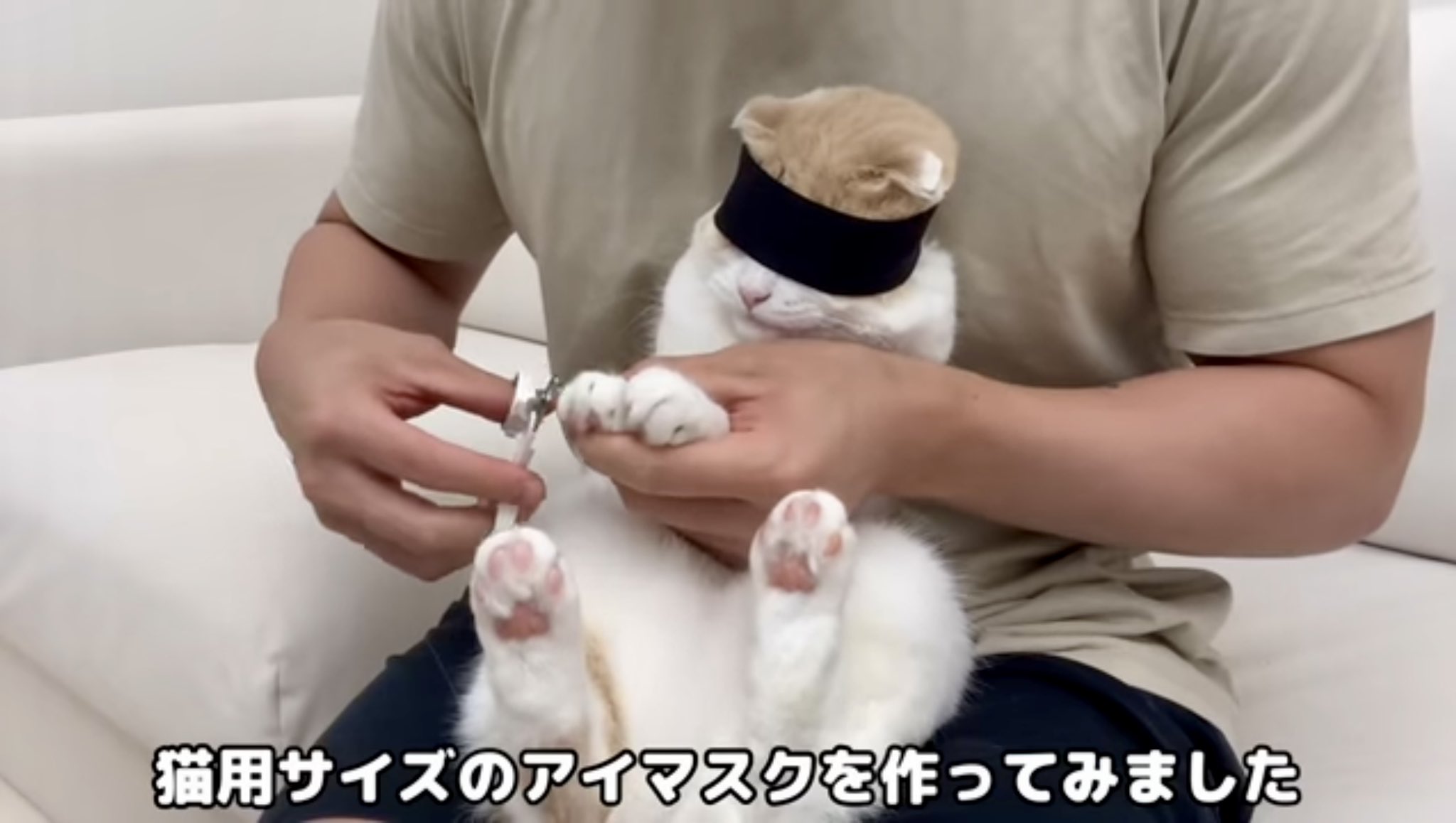 まるもち⑅︎◡̈︎*です Highlights by イコモチ/Icomochi🍡2日目 西あブロック52ab