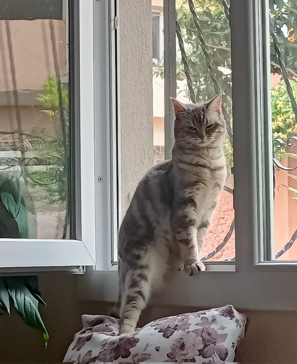 Zaten genelde şu şekil bakıyo bana💗