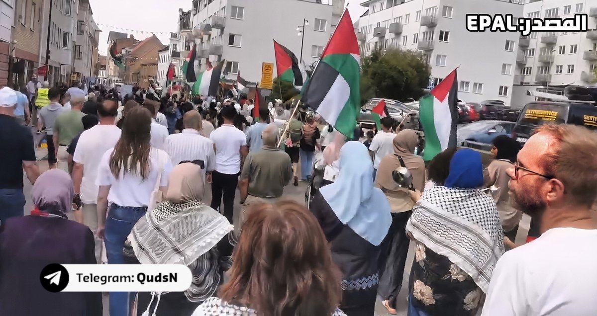 qudsn's tweet image. تظاهرة حاشدة في مدينة هلسنبوري السويدية؛ إسنادًا لغزة وتنديدًا بسياسة التجويع والعدوان الإسرائيلي.