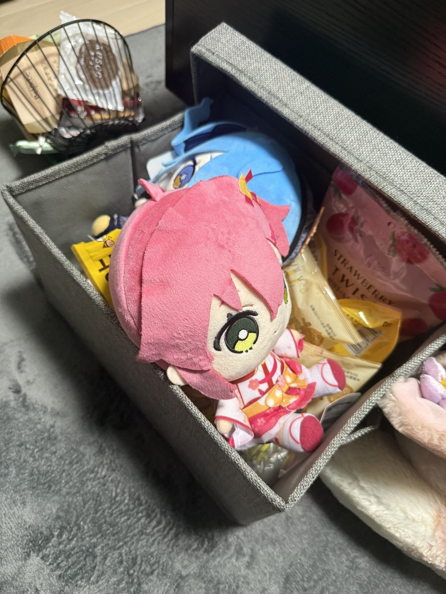 お菓子ボックスの中に入れられとるにぇ…笑