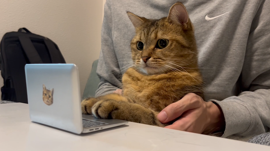 MiniraDiary's tweet image. 猫用サイズのパソコンが可愛すぎる件。なんだこれ。