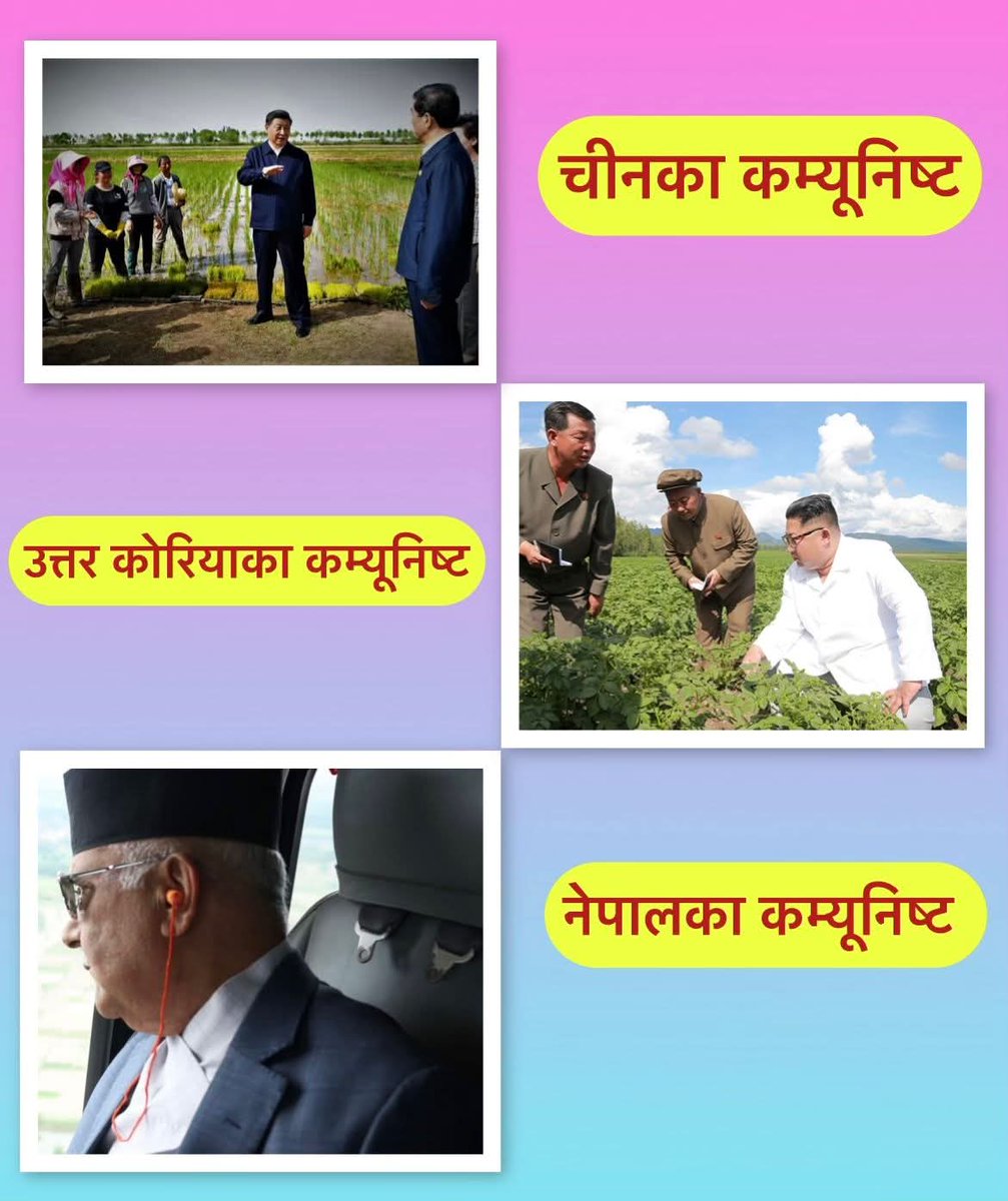 तस्बिर आफैंमा बोल्छ .......!!!! ??
👇