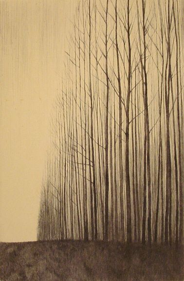 mindpeanuts's tweet image. the parchment
of long winters
dear john letters
written on the barren
sides of recycled
wrinkled paper bags
a ragged fill of interstitial
missing leafy greens
and fruity crimson teams
leaving just such empty shelves
boughs wrought with only
over-stripped to a breezy raw
an…