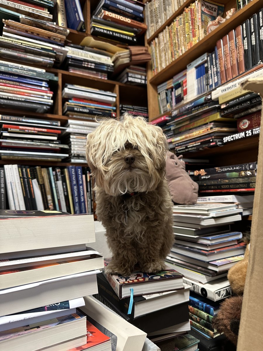 locusmag's tweet image. Greetings puny mortals, it is I, TOTO! I want to let you know that my summer reading list was likely vastly superior to yours bc I read #LocusMag, and therefore have a team of humans to select books from the best of the best. Curses! I let the secret out. locusmag.com