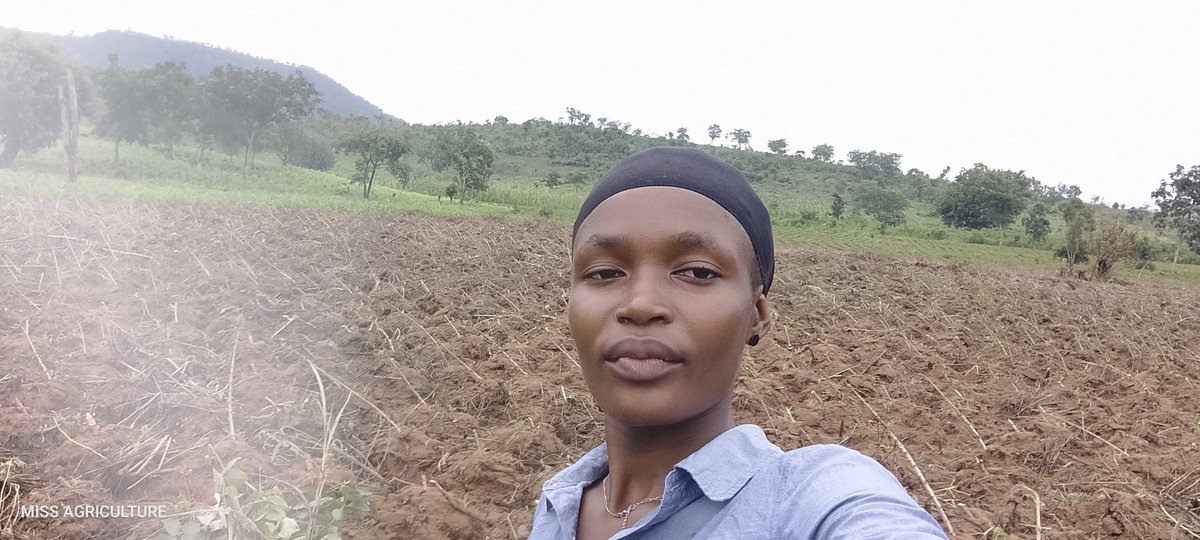 #SeedlingSaturday

I don’t just grow crops… I grow confidence, one row at a time.

Your seedlings don’t need magic, they need consistency.

Water them right

Give them sunlight, not stress

Feed the soil, not just the plant

Strong roots births bold results.

That's how we farm