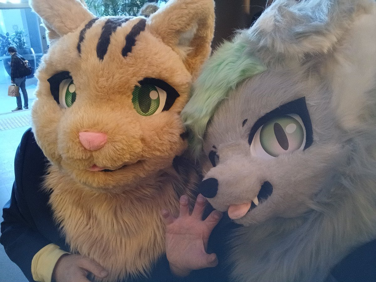 Grilled Mushrooms and Kangaroo Steak near #Aurawra con hotel, also got some pictures with other cute fursuiters meow