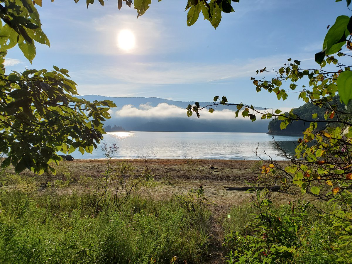 MitchWaystone's tweet image. Lake side mornings, hit just right!
