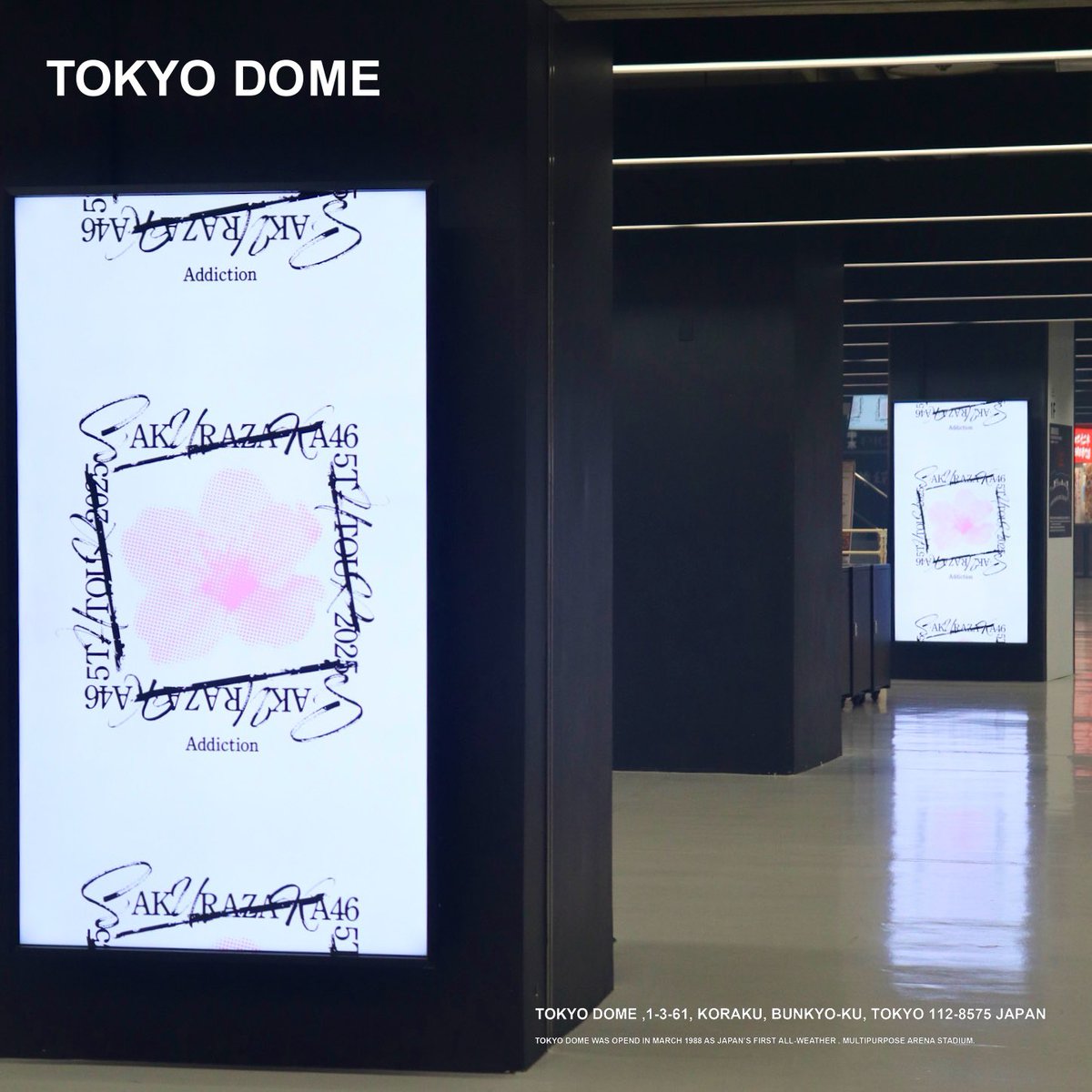 2025.7.24(Thu)-26(Sat)
櫻坂46 「5th TOUR 2025 "Addiction"」

4月に加わった四期生と共に、
約1年ぶりに降り立った #東京ドーム！

進化を続ける<a href="/sakurazaka46/">櫻坂46</a> のメンバーたちは、
#Buddies を熱狂の渦に巻き込みました🔥

満開の3日間をありがとう🌸

#櫻坂46
#櫻坂46_5thTOUR_Addiction