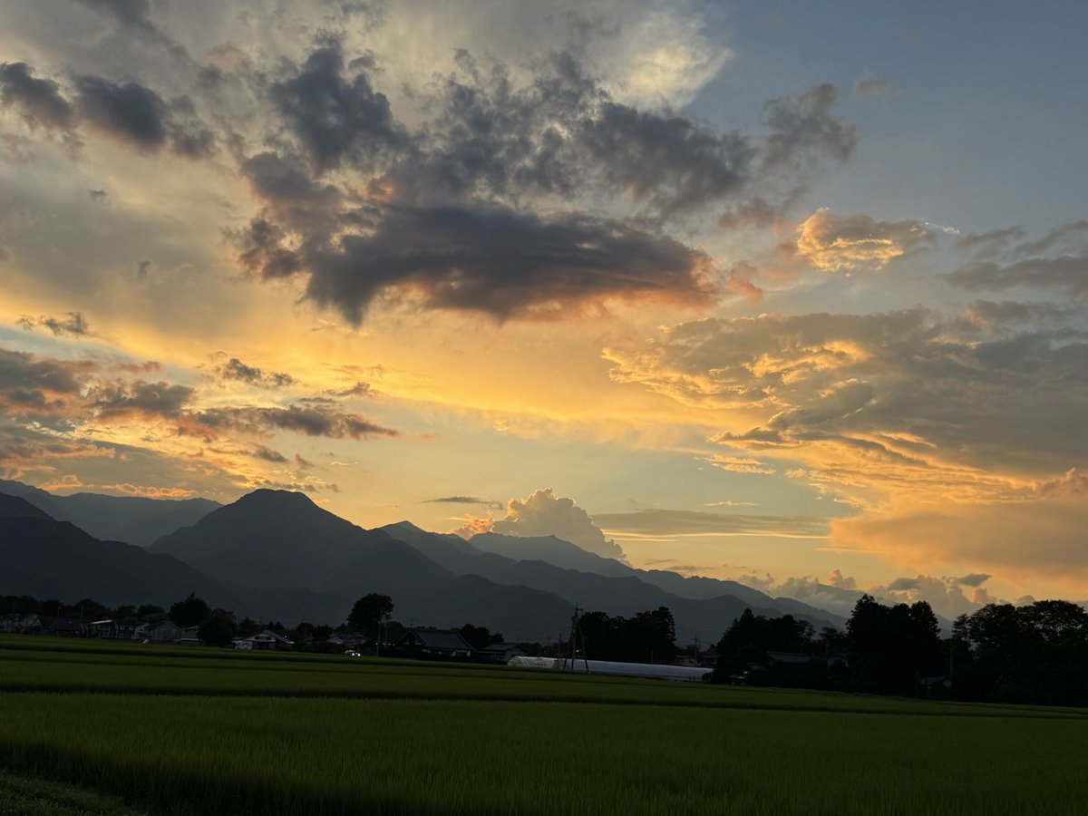 reoreiko's tweet image. 気持ち良さげなトビとツバメ。そして買い出し中にみた安曇野の夕焼け。ゲリラ豪雨後はきれいだ〜。今は満天の星たちが輝いています(^｡^)