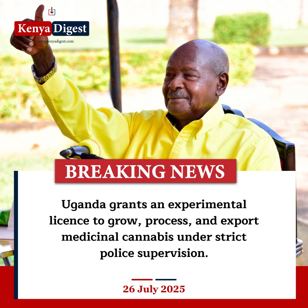 Kenya_Digest's tweet image. The Ugandan government allows the growth and processing of bhang for experimental use under one condition: strict police supervision.
