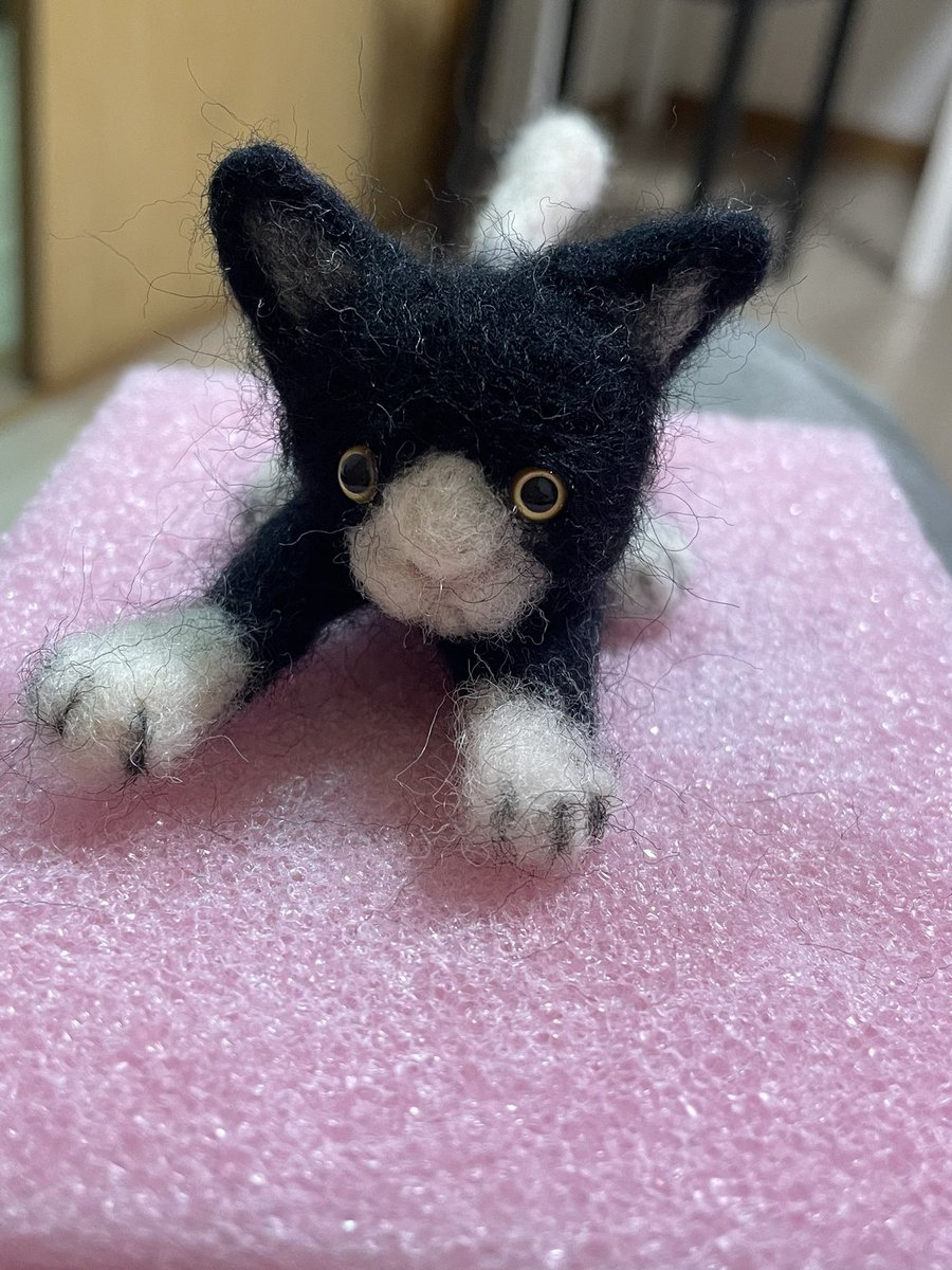 mlkgarnet's tweet image. どう足掻いても眼がこわいwww