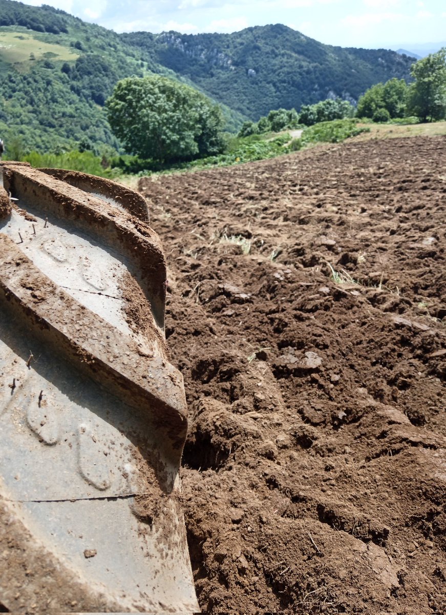 xaiecologic's tweet image. Les terres difícils no eren un bon lloc per fer-se ric,però oferien oportunitats als que estiguessin disposats a arriscar-se:
Als joves,als entusiastes, als pobres, als orgullosos, potser també als bojos..
#RebanksSempre
#TheBoss
I que la bogeria ens acompanyi sempre!!
#Seguim🚜