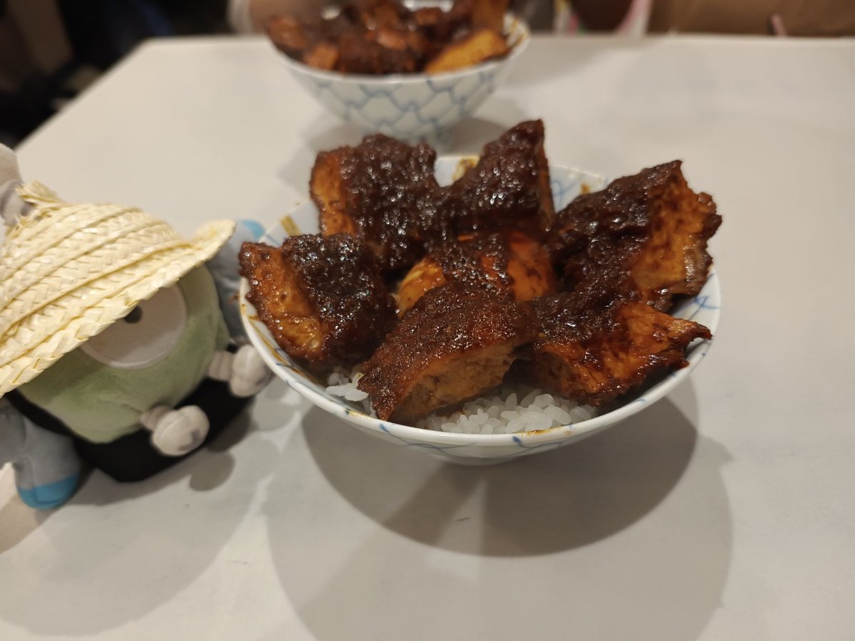 Kbt_Another's tweet image. コイル、これが愛知名物のみそかつ丼だよ