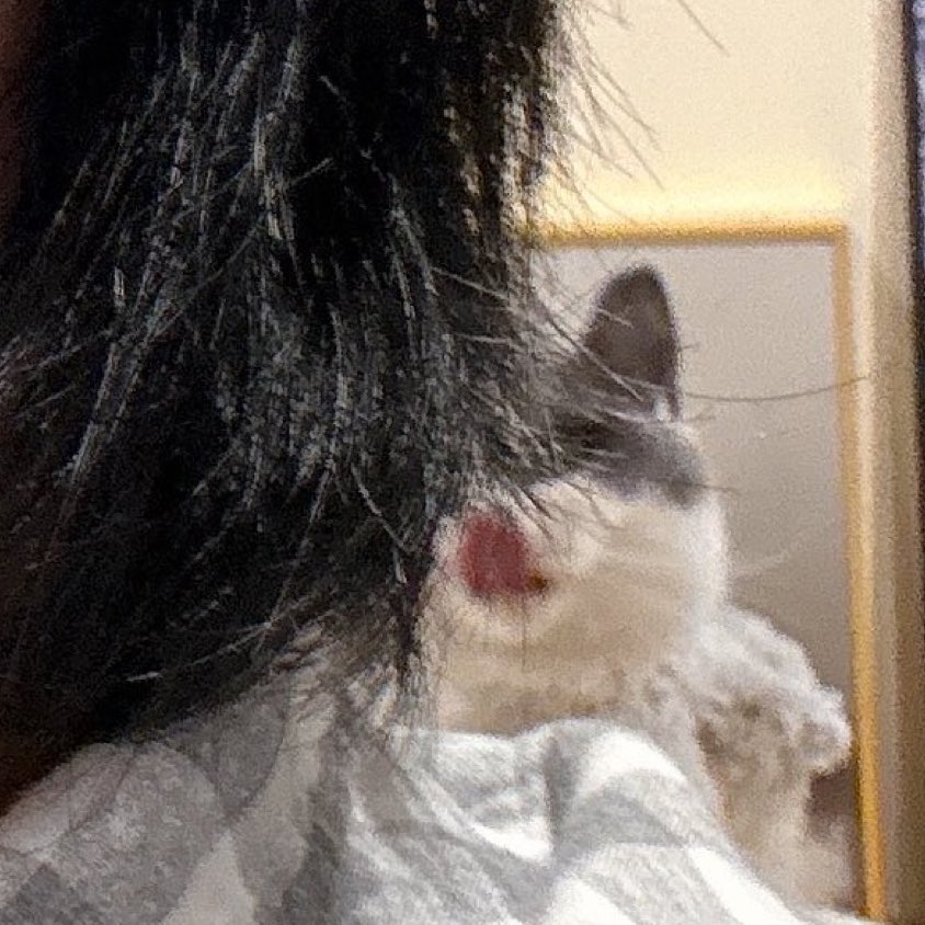 taemcatboy's tweet image. I need taemin to show us the portraits of his babies
