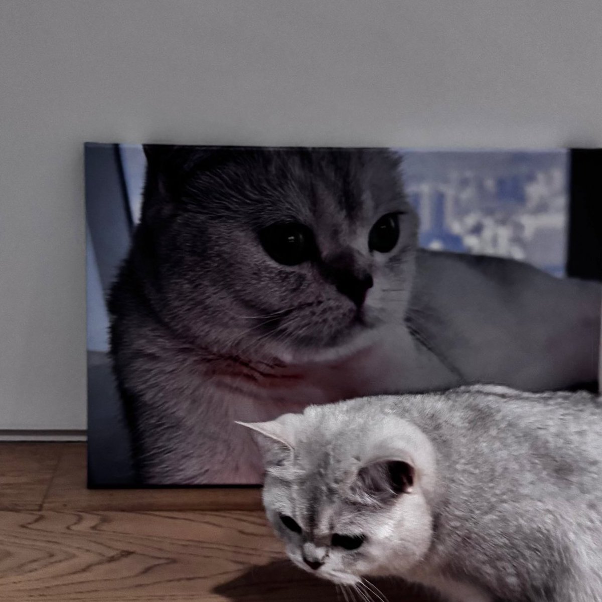 taemcatboy's tweet image. I need taemin to show us the portraits of his babies
