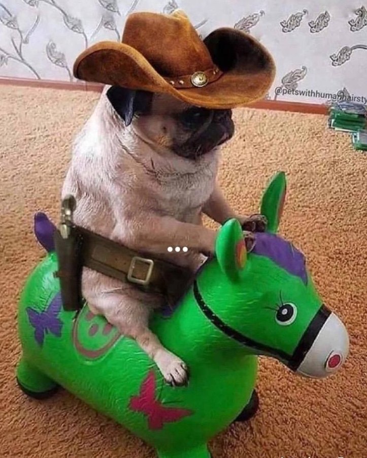 Match day vs <a href="/MetizportVAL/">Metizport Valorant</a>