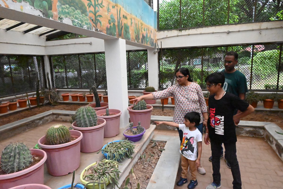 GujScienceCity's tweet photo. પ્રકૃતિના સંગમાં એક શૈક્ષણિક સફર... 🌿🦋
ગુજરાત સાયન્સ સિટીના લાઈફ સાયન્સ પાર્કમાં મુલાકાતીઓએ જીવનના વિવિધ સ્વરૂપો સાથે સંવાદ અનુભવ્યો !
📸 તમે પણ આવો અહીં એક યાદગાર અનુભવ માટે!
#LifeSciencePark #ScienceCityAhmedabad #NatureAndScience #STEMLearning #VisitorExperience #MarketingPurpose @PMOIndia @CMOGuj @GovernorofGuj @IndiaDST @DSTGujarat @InfoGujarat @drvrajesh