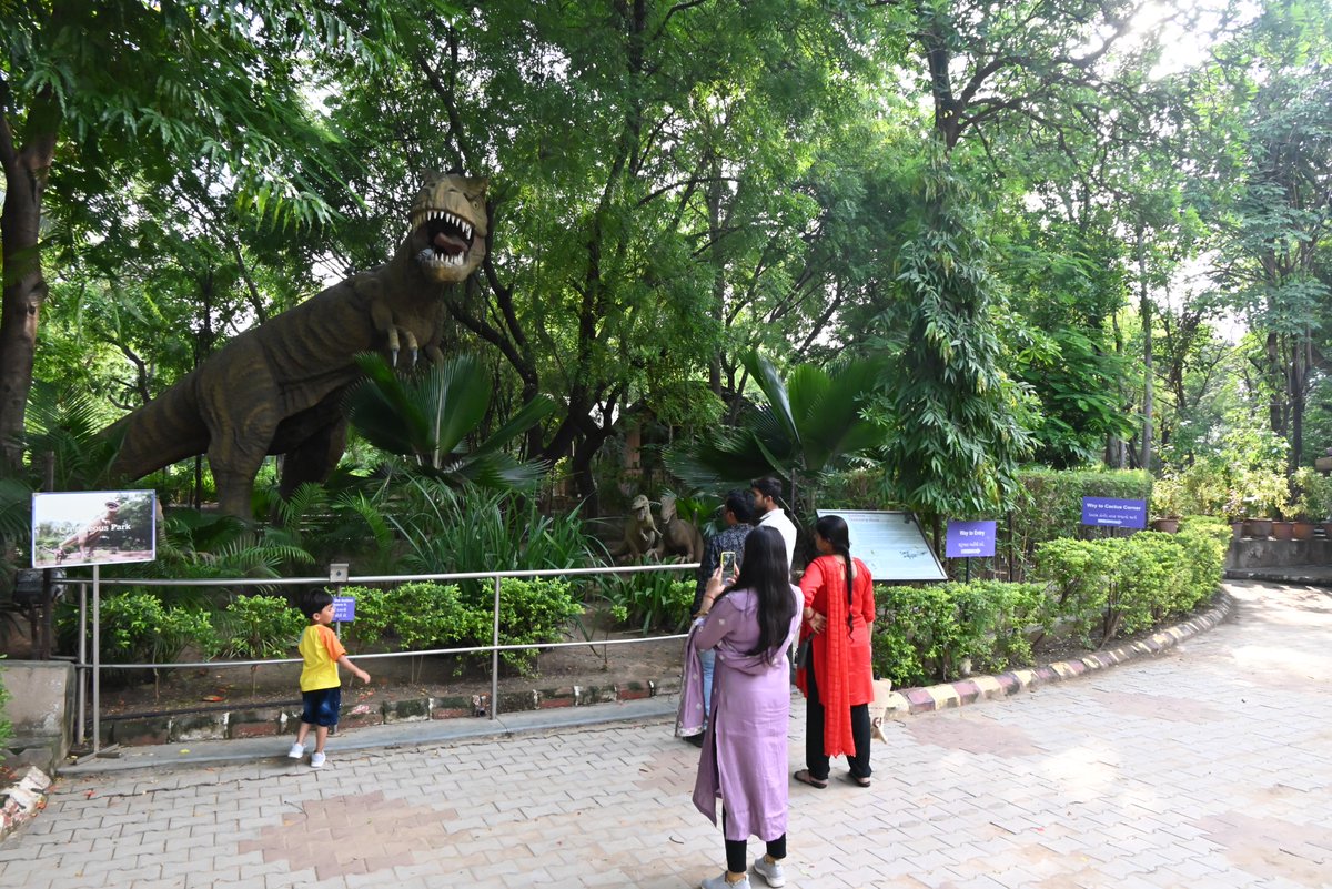 GujScienceCity's tweet photo. પ્રકૃતિના સંગમાં એક શૈક્ષણિક સફર... 🌿🦋
ગુજરાત સાયન્સ સિટીના લાઈફ સાયન્સ પાર્કમાં મુલાકાતીઓએ જીવનના વિવિધ સ્વરૂપો સાથે સંવાદ અનુભવ્યો !
📸 તમે પણ આવો અહીં એક યાદગાર અનુભવ માટે!
#LifeSciencePark #ScienceCityAhmedabad #NatureAndScience #STEMLearning #VisitorExperience #MarketingPurpose @PMOIndia @CMOGuj @GovernorofGuj @IndiaDST @DSTGujarat @InfoGujarat @drvrajesh
