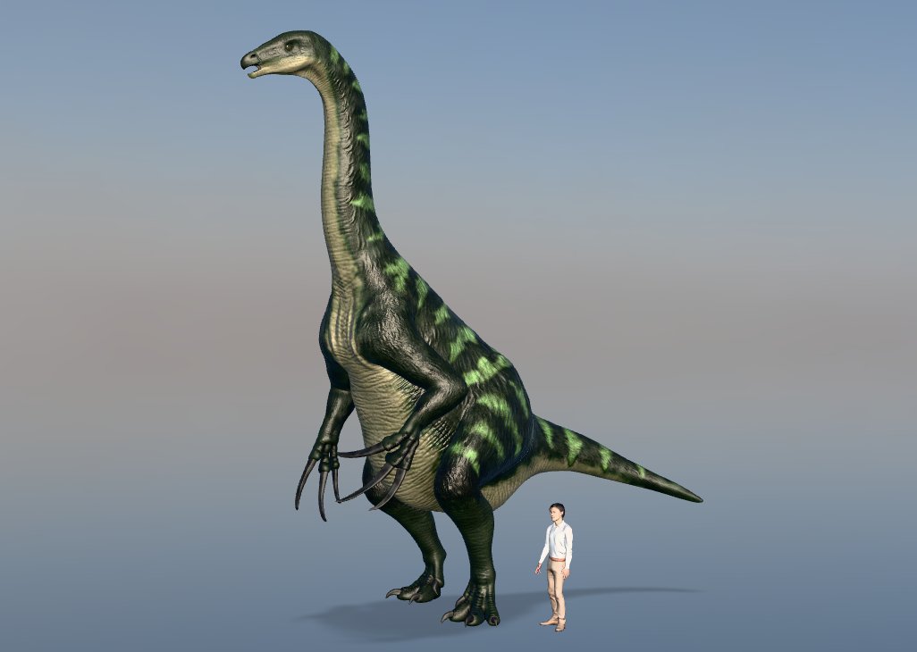 k_fujimiya's tweet image. #バーチャル恐竜図鑑 更新🦖
映画『#ジュラシック・ワールド/新たなる支配者』で、不気味な爪と羽毛に包まれた姿で登場し、観客に強烈なインパクトを与えた恐竜『#テリジノサウルス』です。
zukan.kyoryukan.net/dinosaurs/ther…
#Therizinosaurus #dinosaur #JurassicWorld