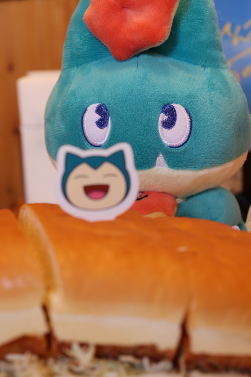 t_m_bw's tweet image. じー…👀

 #ポケモンとたっぷりくつろご