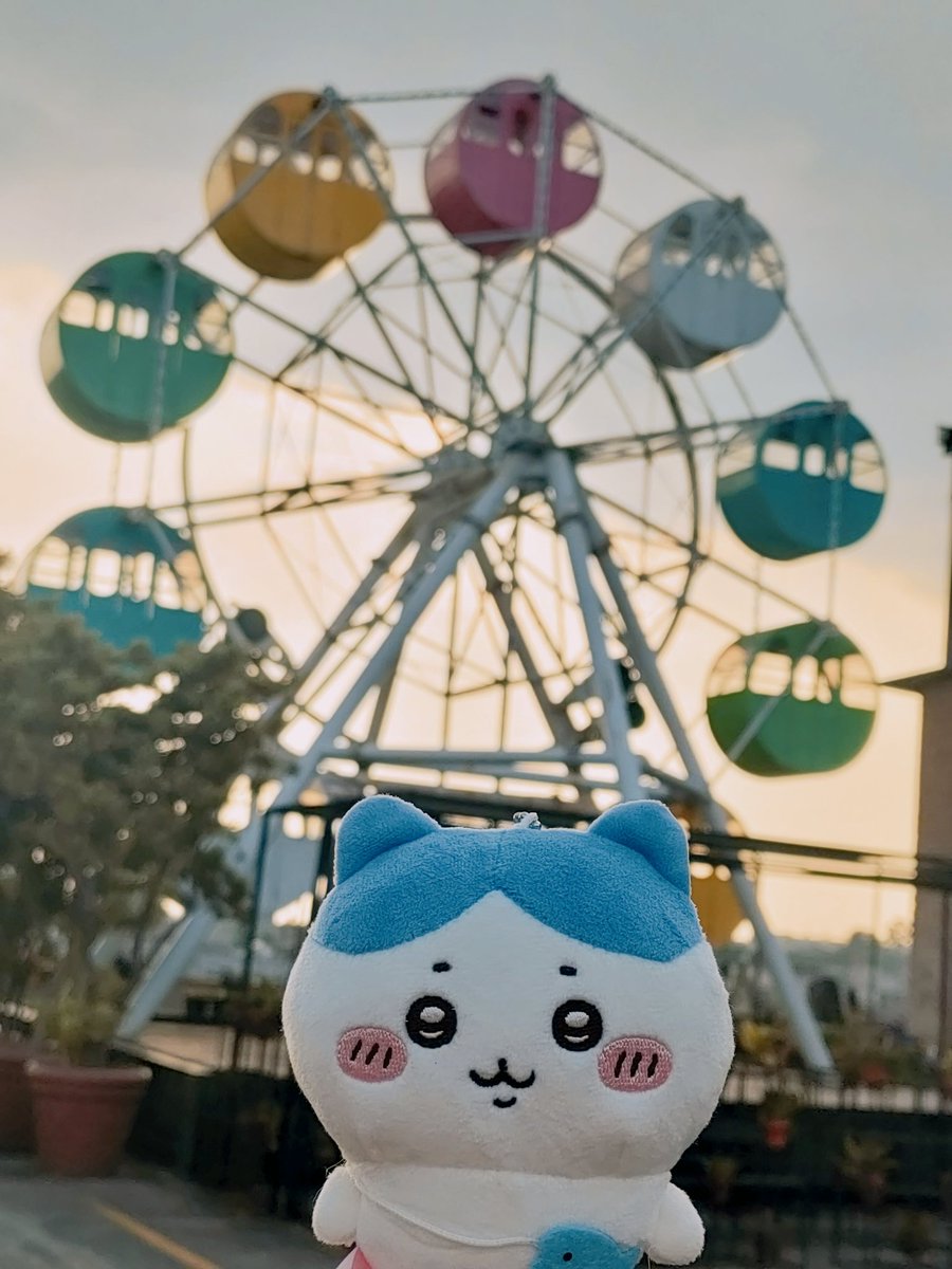 CRISPn_n's tweet image. I think this hachiware pics are peak  cuteness