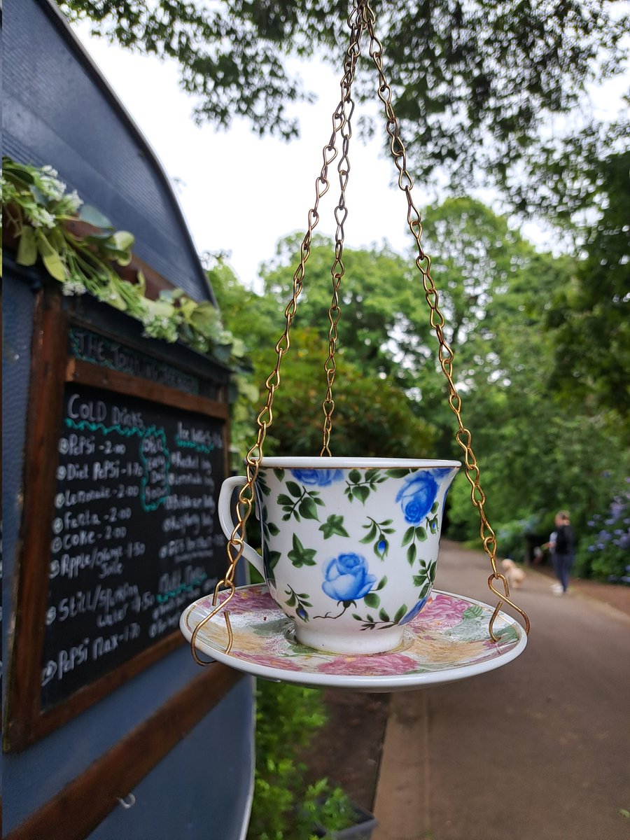 AuthorTracyRees's tweet image. A long walk to Clyne Gardens (and back!) this morning. I got a hot chocolate from the pretty travelling tearoom and feasted my eyes. Such a gorgeous start to a Saturday #walking #gardens #Flowers #trees #nature #inspiration #books