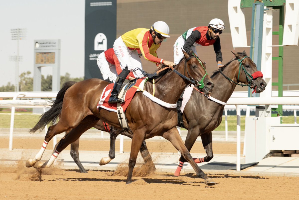 JCSA_Racing's tweet image. Victory in the opener goes all to DACTORAH SALWA. Congratulations to owner Saad Ali bin Bedn, trainer Baden Alsubaie and jockey Mohammad Alyami. #SaudiRacing
