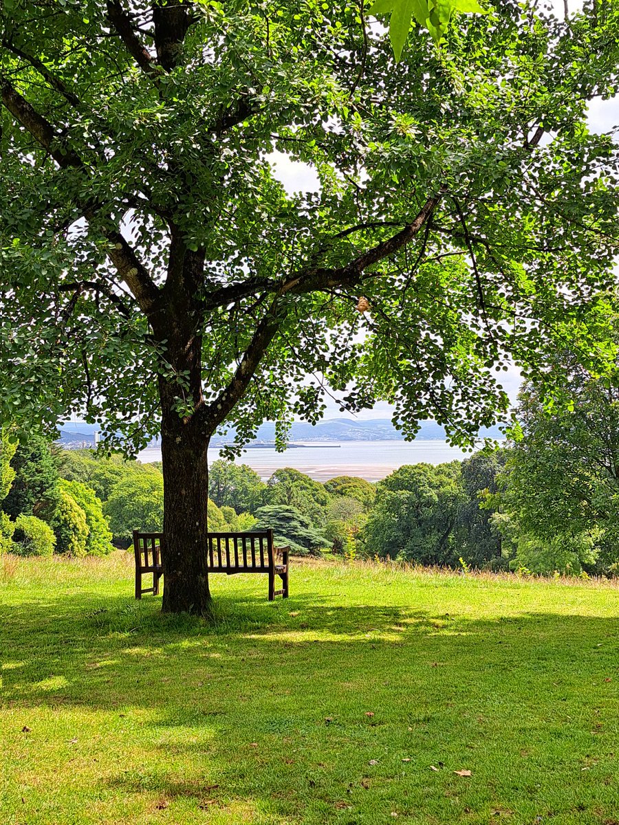 AuthorTracyRees's tweet image. A long walk to Clyne Gardens (and back!) this morning. I got a hot chocolate from the pretty travelling tearoom and feasted my eyes. Such a gorgeous start to a Saturday #walking #gardens #Flowers #trees #nature #inspiration #books