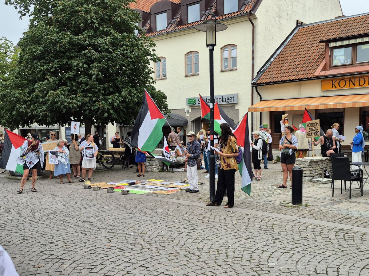 Tweetylainen's tweet image. Inte ens i Visby får man vara ifred från gapande Hamasvurmare och kastrull-häxor 🥄🇵🇸🤮😡