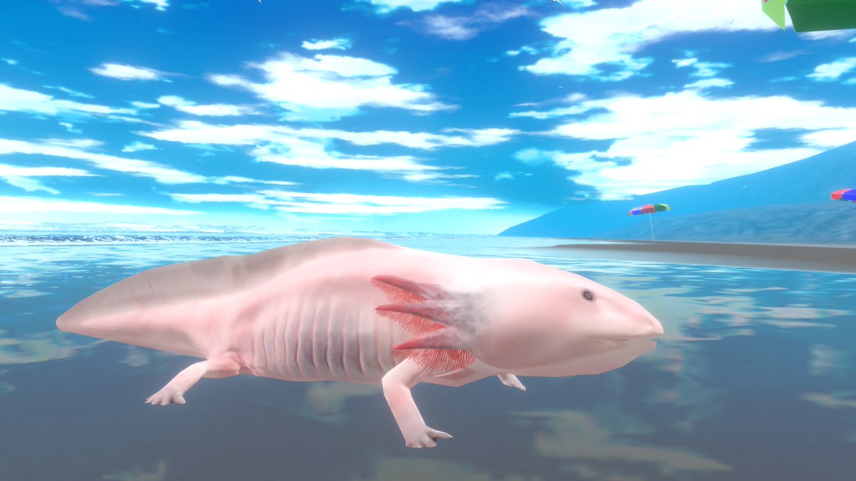 NostocPg3_VR's tweet image. 