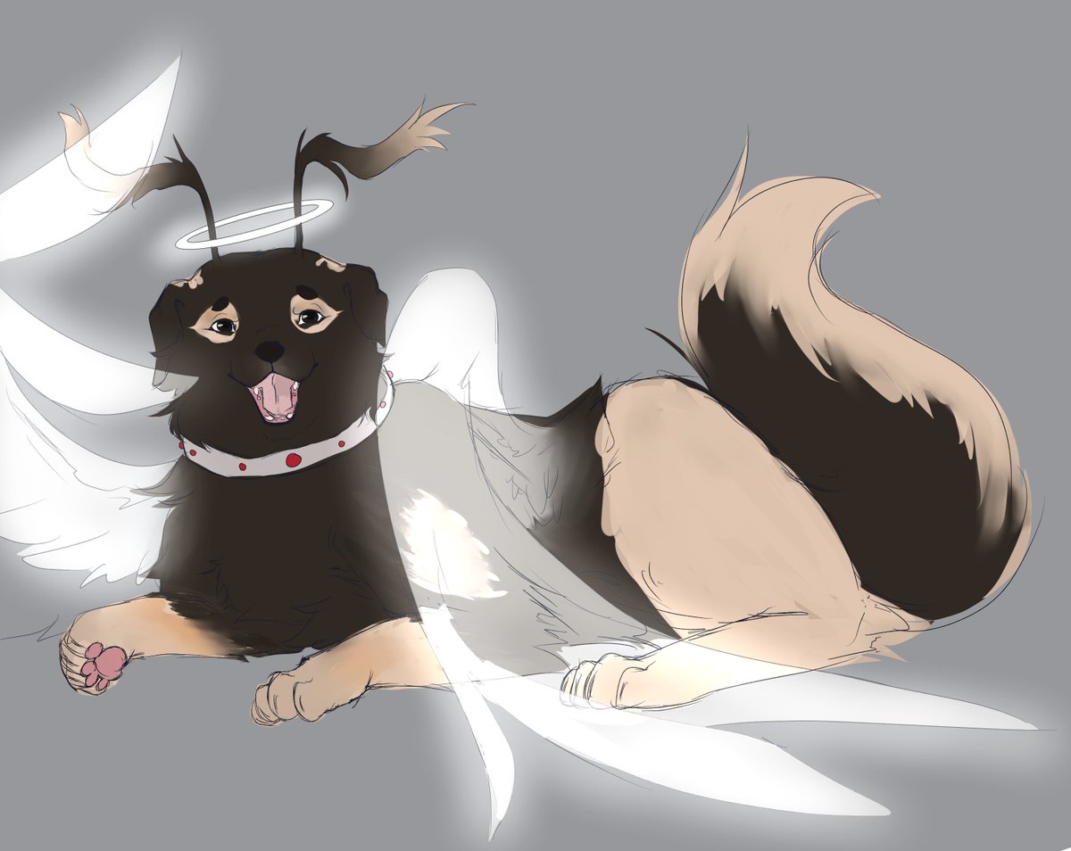 cyborgsheepie's tweet image. i may not have known him personally, but I know he was a very good boy. I wish him the happiest of birthdays in the sky.