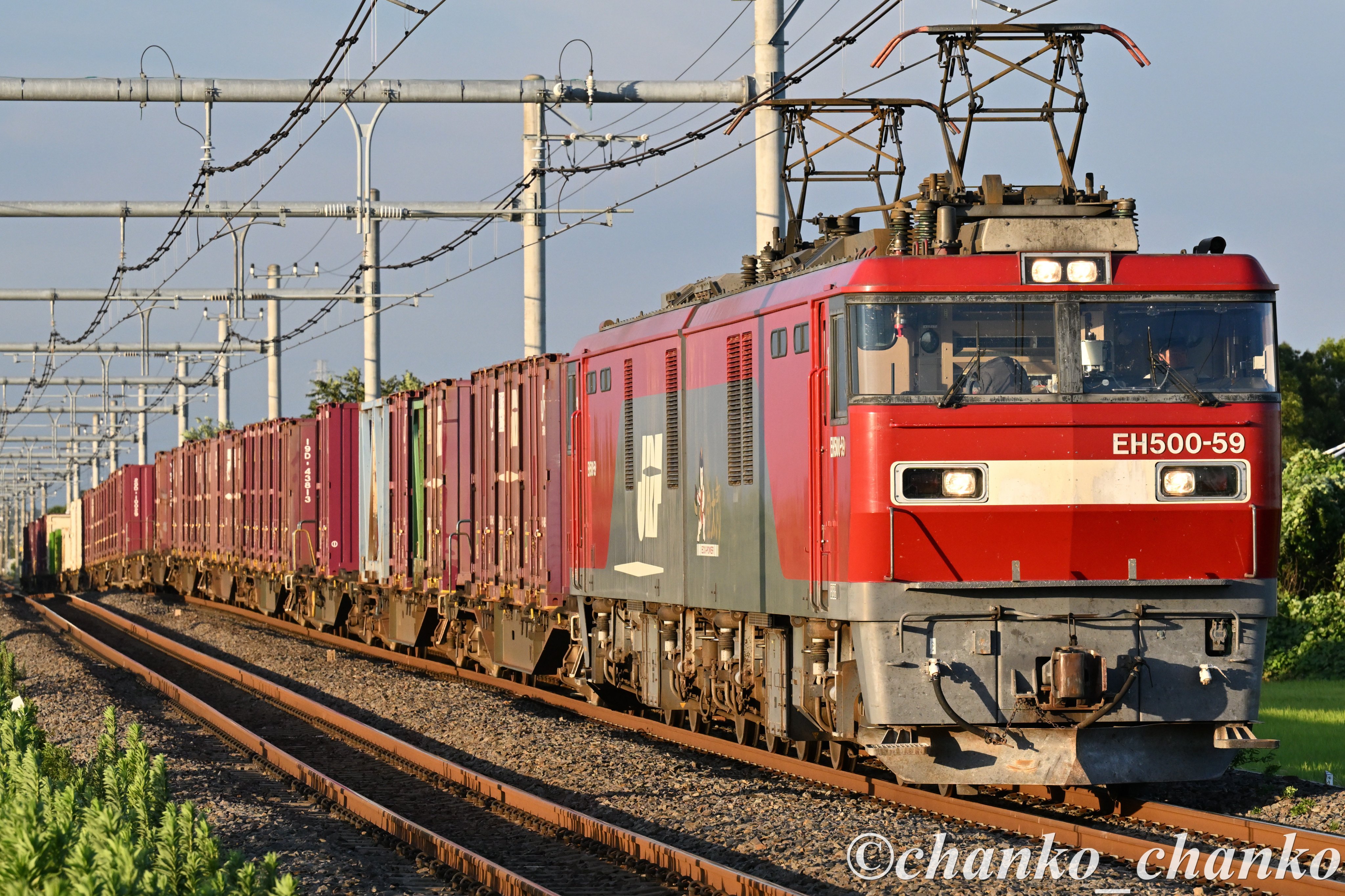 ちゃんこちゃんこ (@chanko_chanko) / X