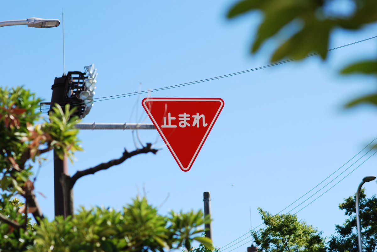 DesignKokeshi's tweet image. 夏っぽい写真が撮れた