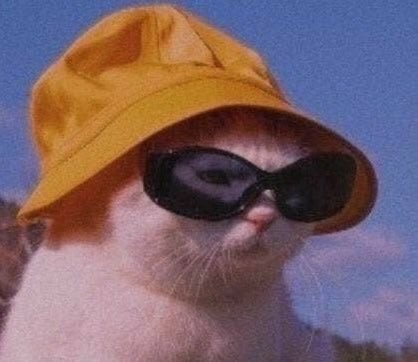 Cryptogodlui's tweet image. Happy Caturday X familia! Water park in PA today - Stay Blessed 🌊💚