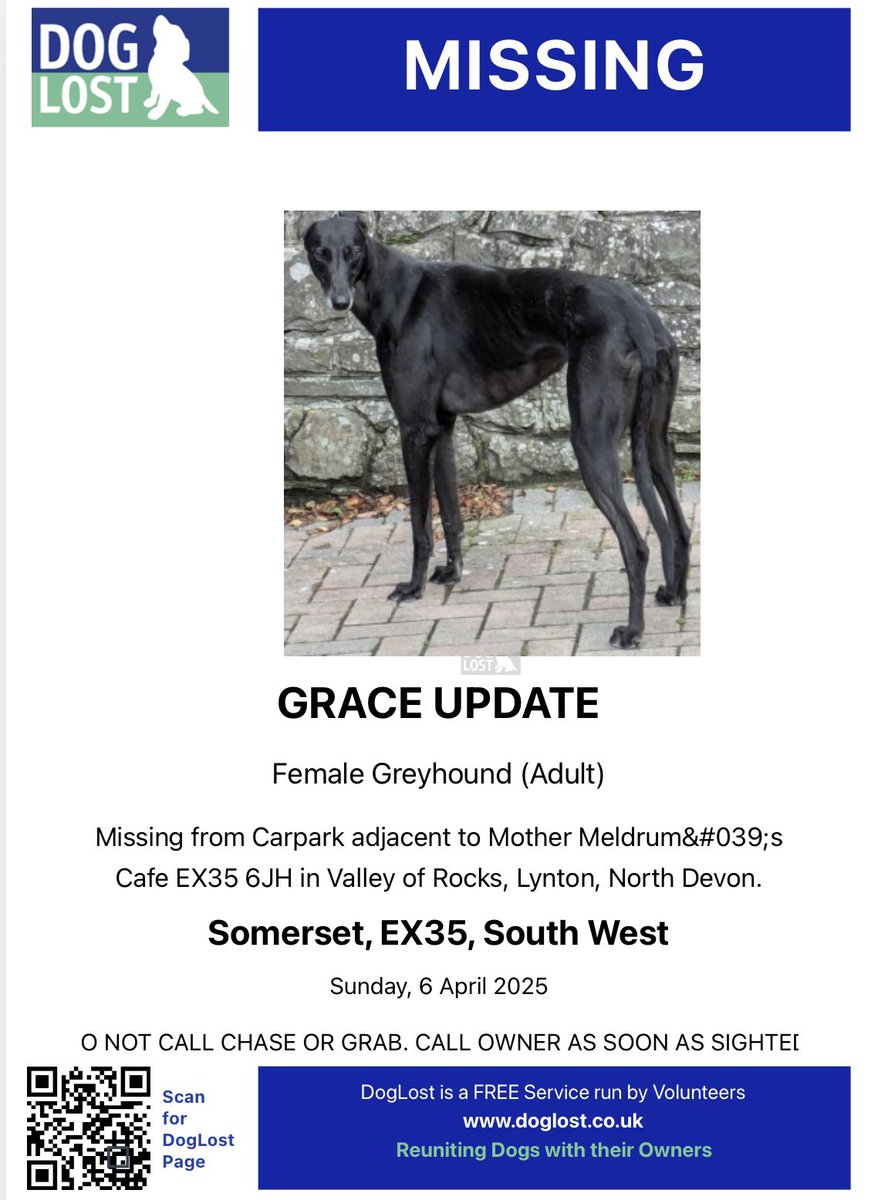 rosiedoc666's tweet image. Grace still missing.
black #Greyhound green tattoos in both ears/spayed.
North #Devon 6/4/25 could be anywhere now. a much loved pet and we desperately want her home.
Finder's Fee can be paid for her safe/live return.
If you have 'rehomed' Grace, pls get in touch. 07880717233 TY