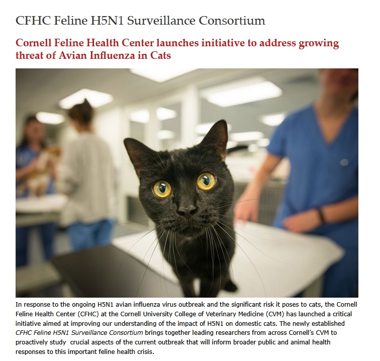 greg_folkers's tweet image. CFHC Feline # H5N1 Surveillance Consortium/ Cornell Feline Health Center launches initiative to address growing threat of Avian Influenza in Cats bit.ly/40Ayput