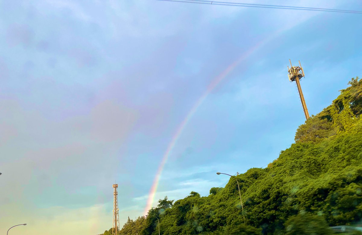 みてみて〜🥰
飼い主さんに会いに行く時に、虹が出てたよ🌈✨