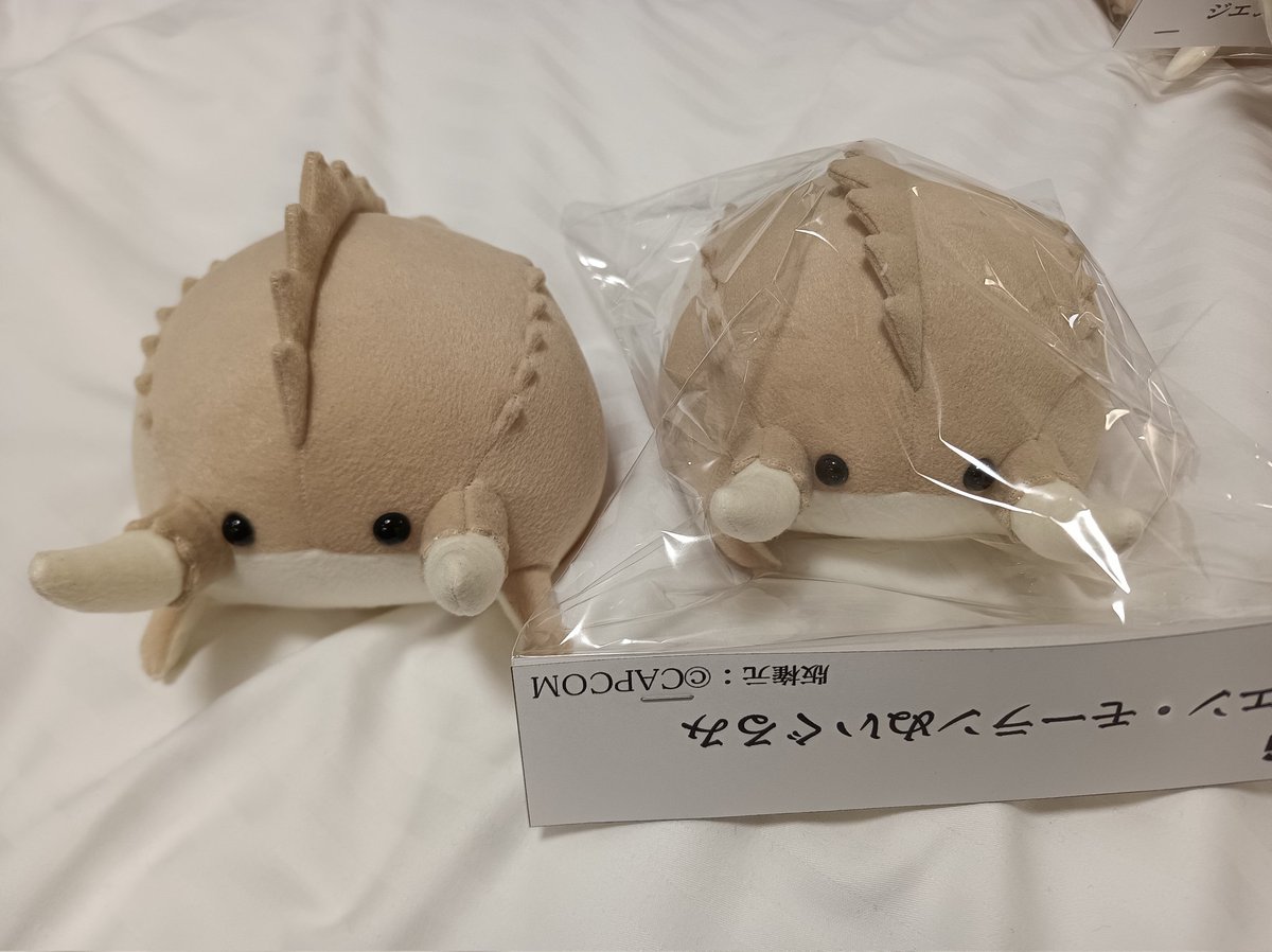 craft_hana_lion's tweet image. ジエン・モーランは梱包の関係で背ビレがぺったりしています。。
袋から出したあとに元気にしてあげて下さい!!!