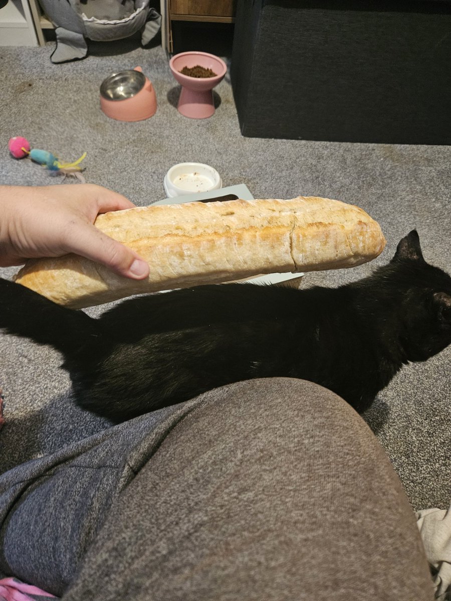 HurricaneHam's tweet image. Size of baguette?