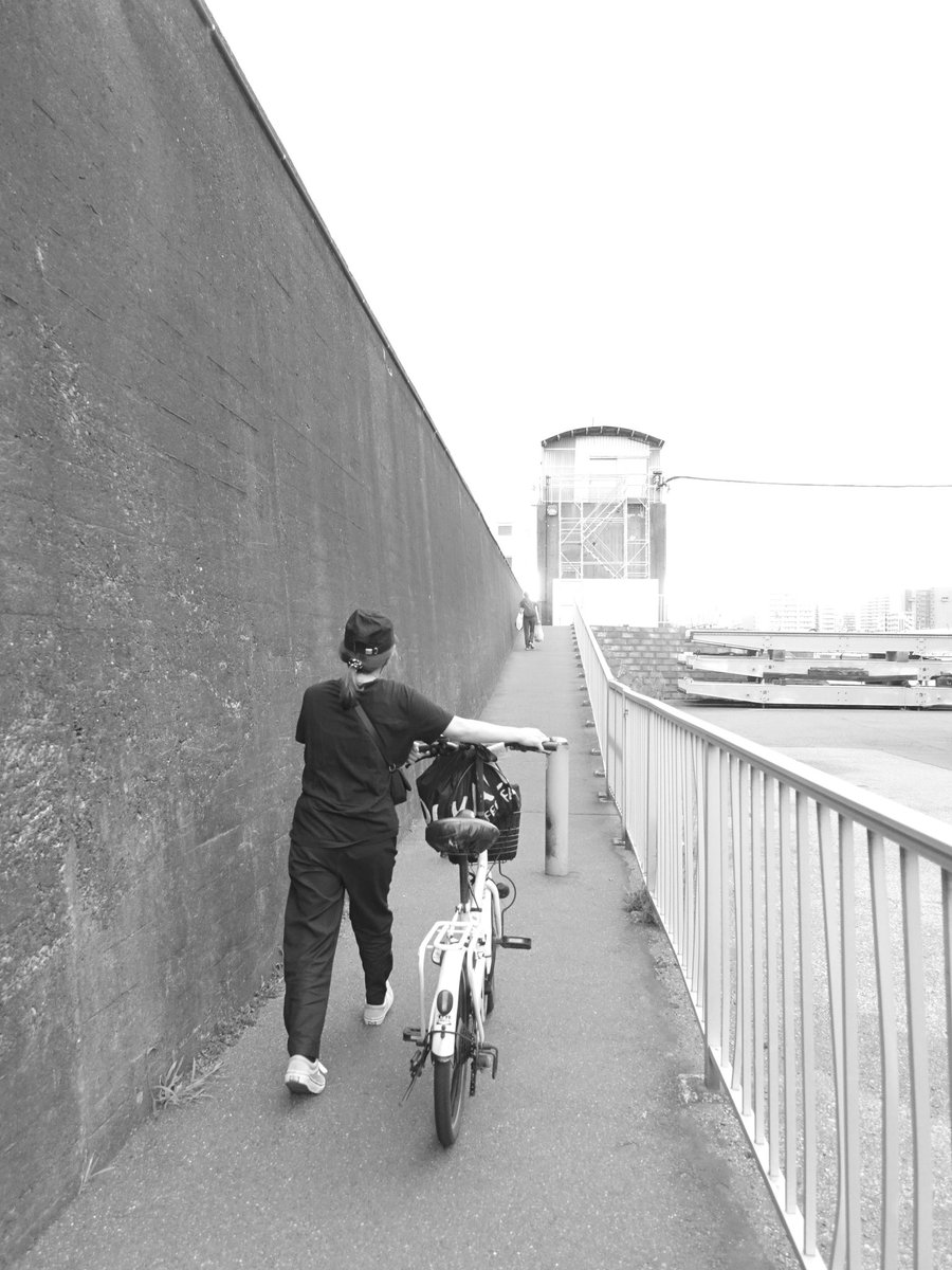 gmo_46's tweet image. 船橋