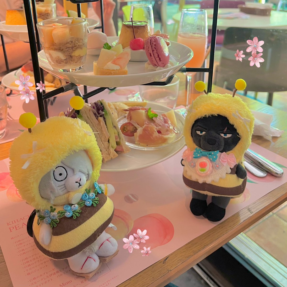 nn____110n's tweet image. 今日774さんと🍑🫖アフヌンしたりぬい服ショップ巡ってお買い物してきた〜！！🐝
沢山お喋り出来てめっちゃ楽しかったです…！！🫶🫶🫶💕