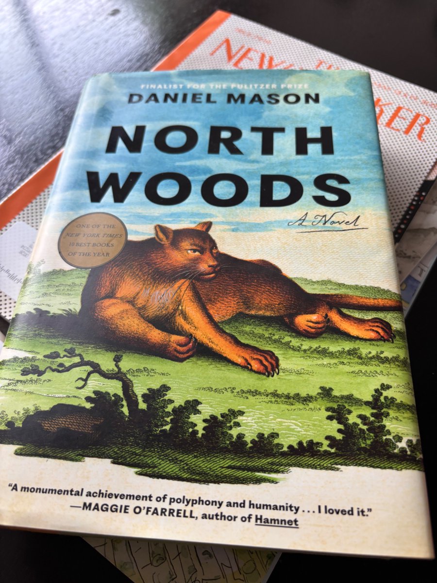 GmoCejudo's tweet image. North Woods