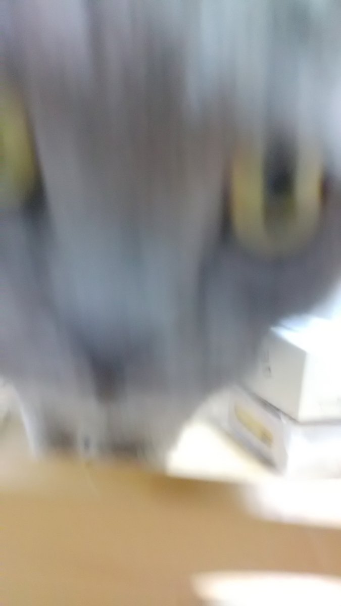 omusrais's tweet image. 幽霊