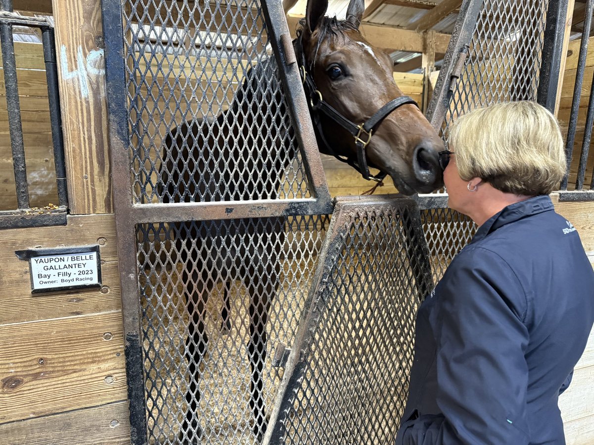 randyboyd's tweet image. Jenny and I are excited to cheer on our baby, Tennessee Belle, as she makes her racing debut this afternoon at #Saratoga! She’s a 2-year-old filly running in Race 7 at 3:52pm ET from post position 2. We hope you’ll tune in and cheer her on! nyra.com/saratoga/racin….…