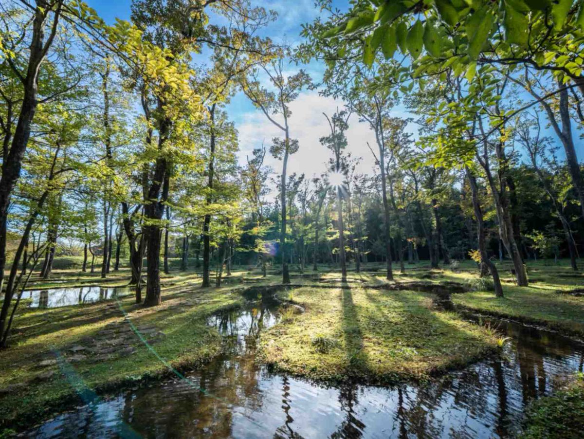 那須高原とか都会を離れて涼しい場所にいきたい

宿泊施設内に水庭という庭園
木々の緑と小さな池に囲まれて
ゆったりとした時間を過ごせる場所
こういうところへ行って1週間くらい過ごしたい