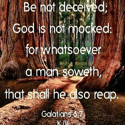 Teresa42254207's tweet image. Ref Galatians 6:9 And let us not be weary in well doing: for in due season we shall reap, if we faint not.K.J.V.