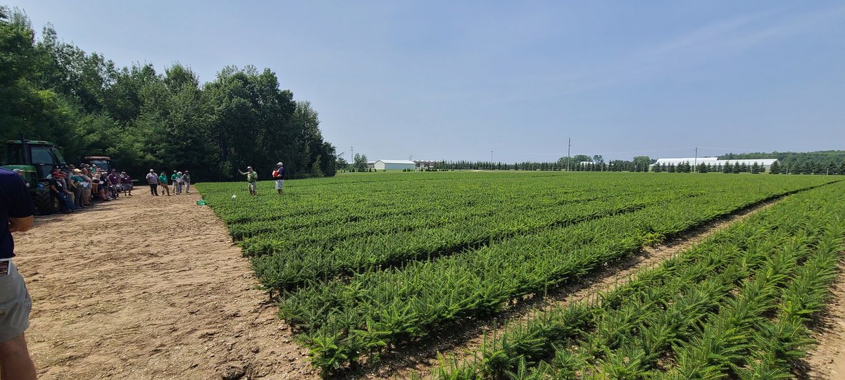 microbe_host's tweet image. Christmas tree meeting and field days hosting over 700 growers from all over the US at Duchmn&apos;s. @DutchmnTreeFrms @MSUAgBio @MSUExtension @MSUForestry @MSU_PSM @CANRatMSU
