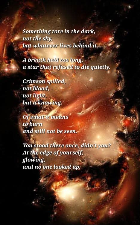 Reineguerrieree's tweet image. A moment split open
something unseen moved,
and crimson rose quietly behind the sky.
#vss365 #crimson