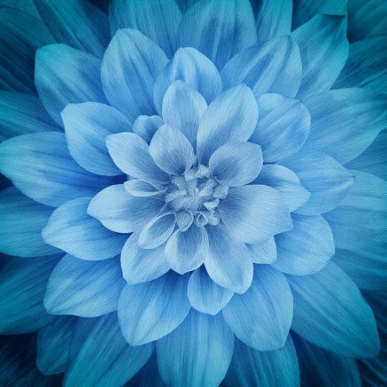 howarths63's tweet image. buff.ly/QXJRPVu #Stunning #DreamBig #Atlantic #Dahlia Hoffman Spectrum #Digital Print, #Beautiful #breathtaking #Dahlia Fabric Panel, #Quiltingcotton - #Quilting #sewing #crafting #wallhanging #Quiltingfabric buff.ly/qqOUp5Q #Etsy #Shopping